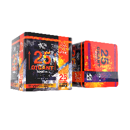 [PR-C025A-38] GIGANT 25